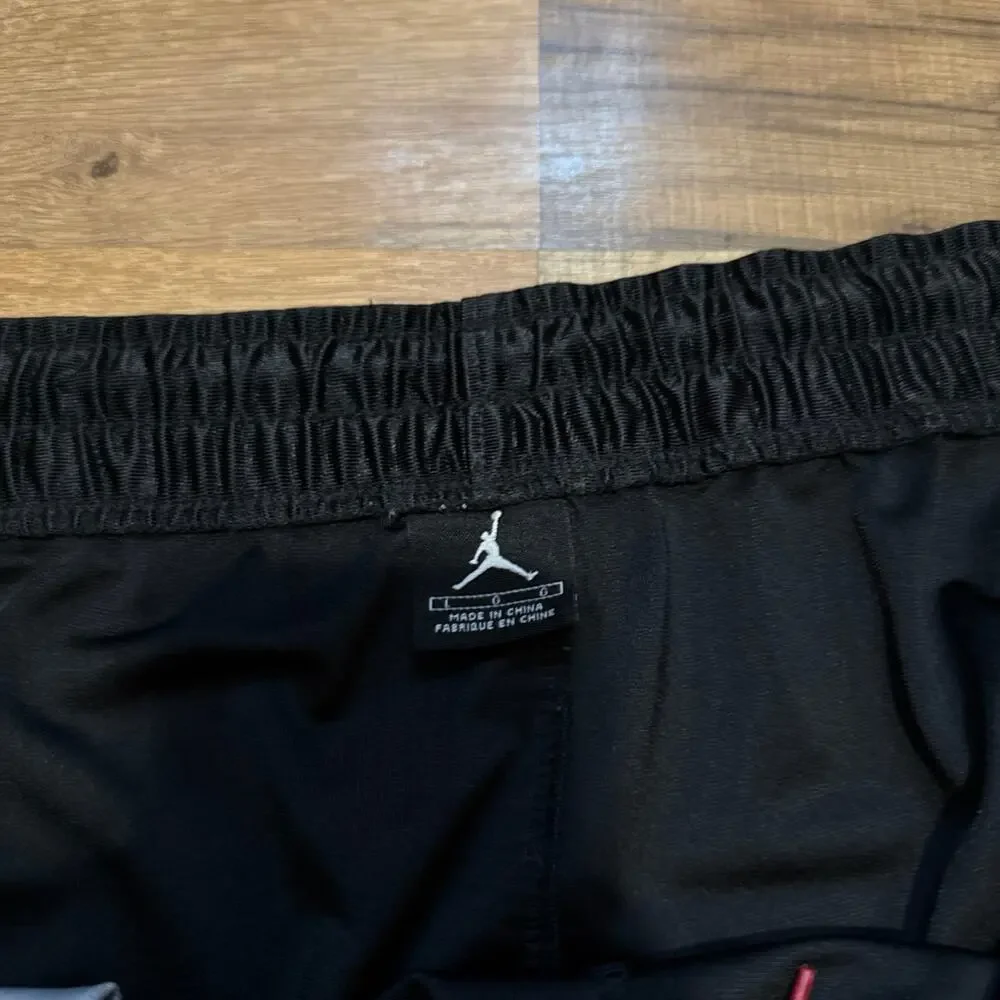 Y2K Air Jordan Silky Dazzle Shiny Shorts